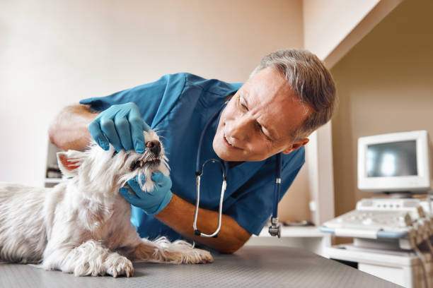 Best Emergency Root Canal Treatment in Apalachicola, FL